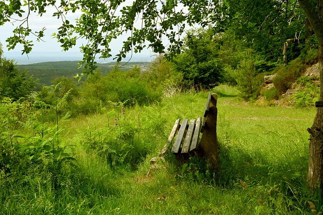 对各方参与 对各方参与
