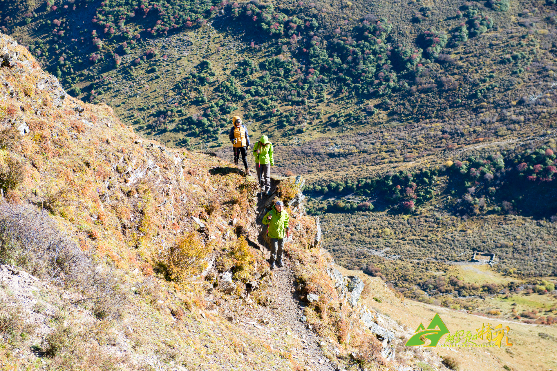 扑腾乒乓球 扑腾乒乓球